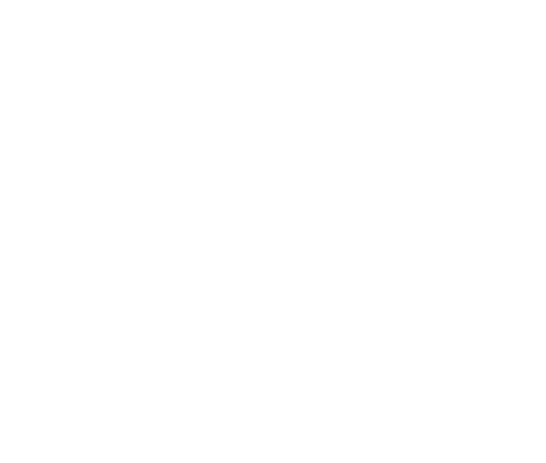logo dpmml krivky white 1 full line up